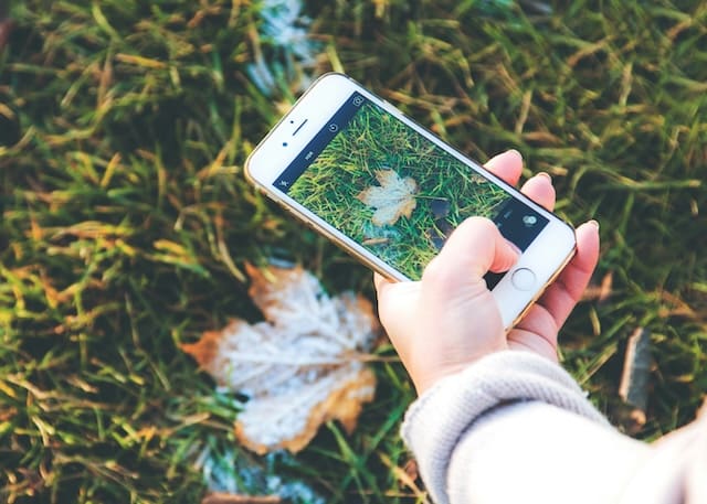Tips om mooie tuinfoto’s te maken met je smartphone