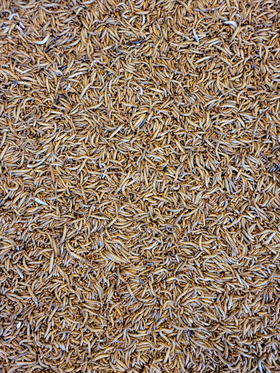 a close up of a pile of brown rice