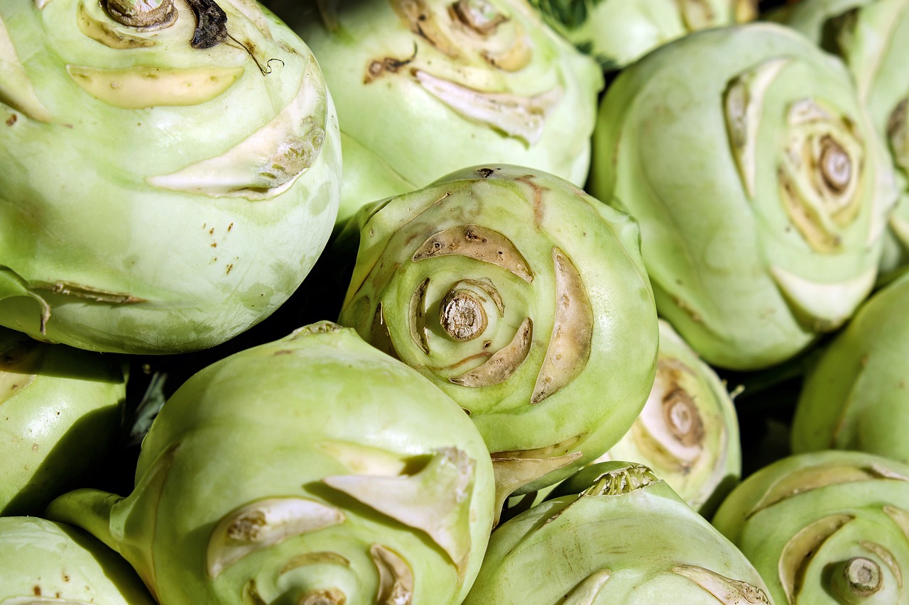 kohlrabi, vegetables, wild cabbage